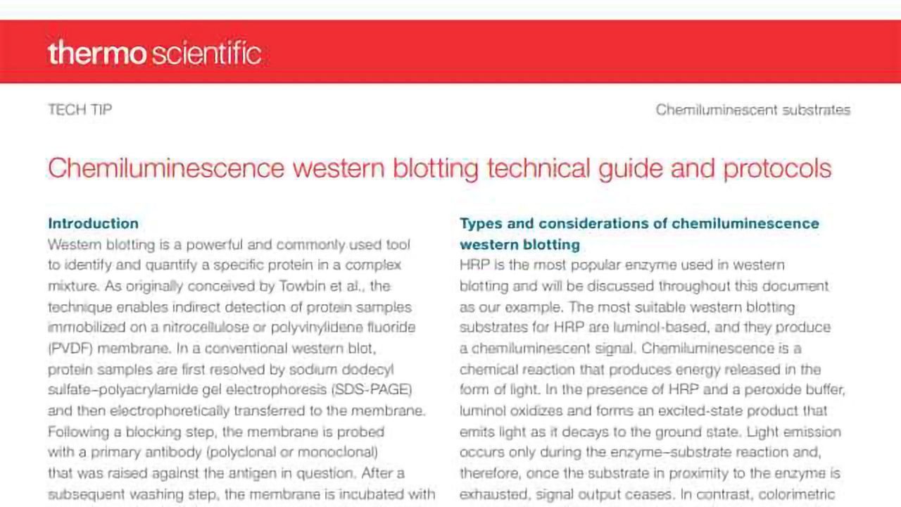 Chemiluminescence Western Blotting Technical Guide and Protocols