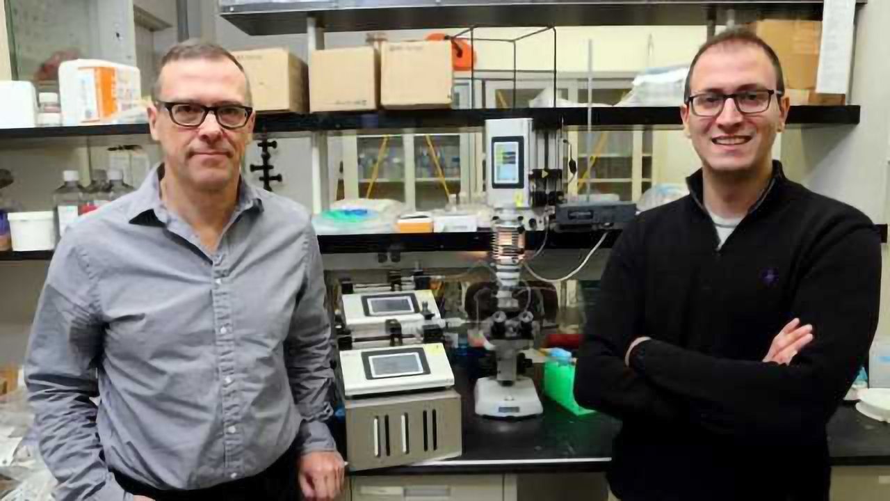 Why Cancers Form in Specific Cell Types