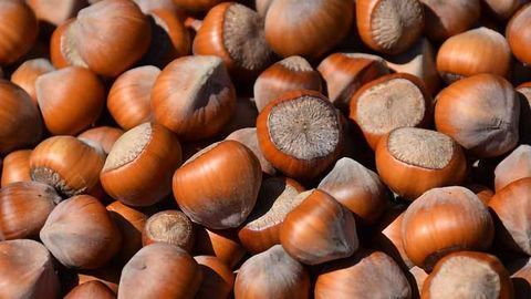 Know Your Nuts