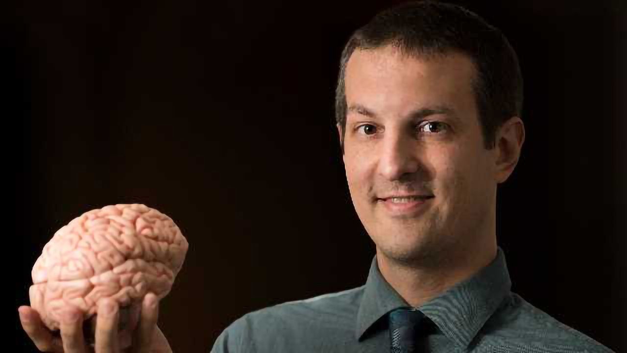 Findings Rewrite the Thalamus's Role in Consciousness