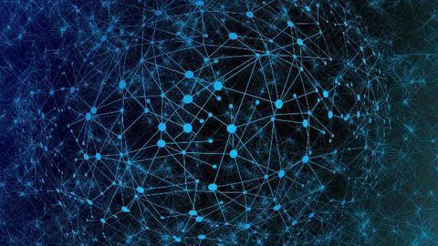 Parkinson's Therapy Creates New Motor Circuits in the Brain