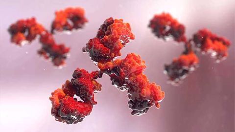 Immunotherapy Response Prediction in Urothelial Cancer