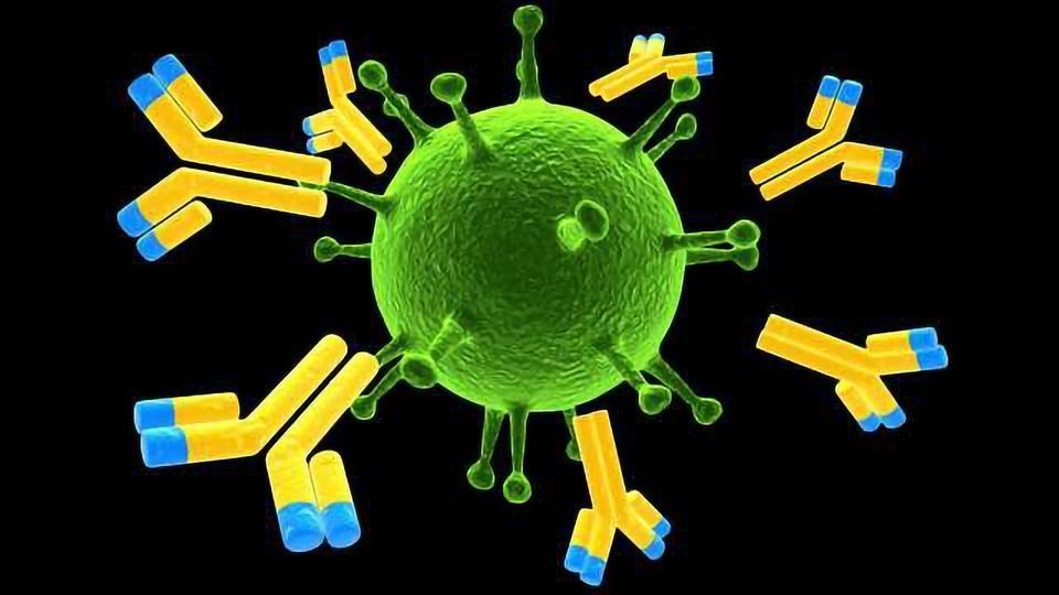 Carterra® continues successful antibody discovery seminars with new US East Coast event content piece image