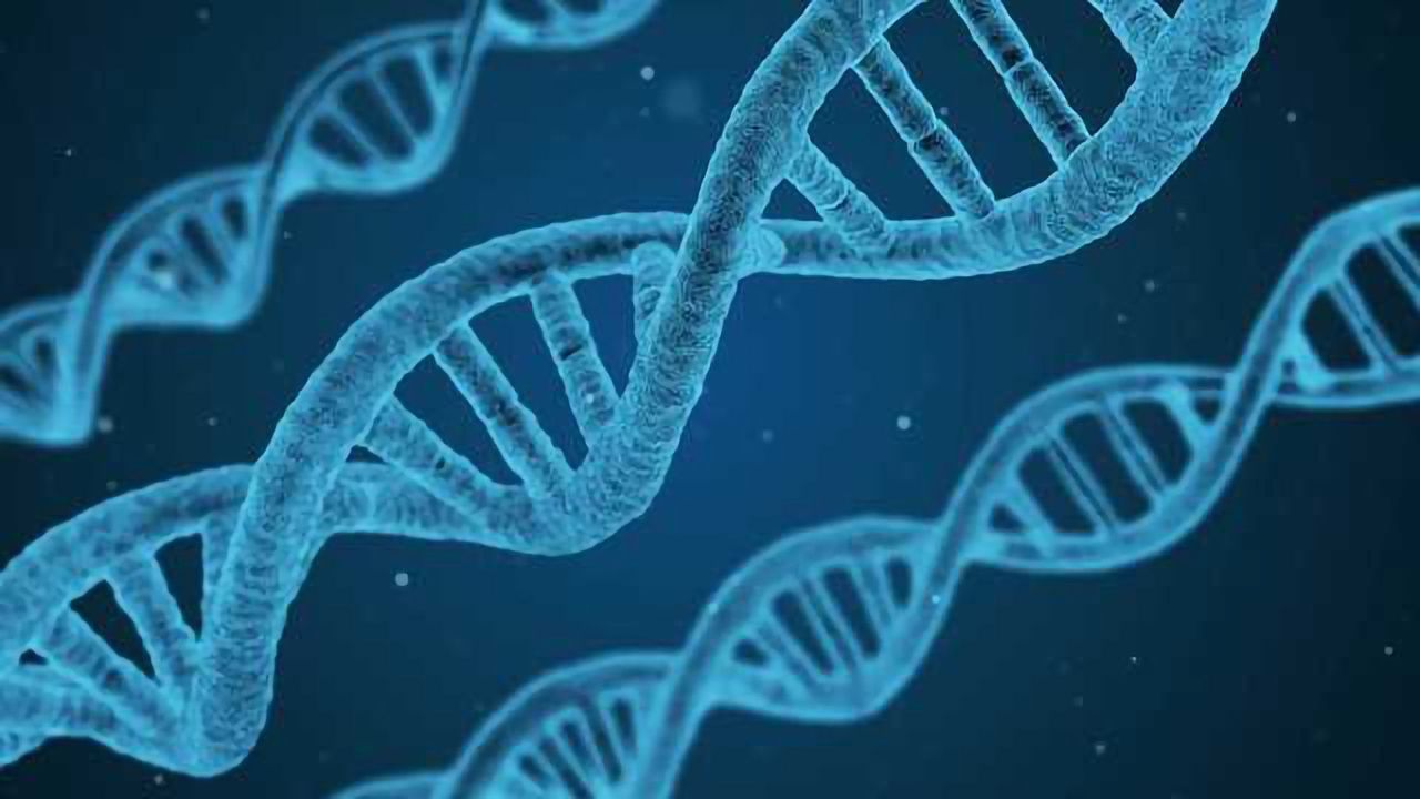 Mutations Catalogued for Stem and Progenitor Cells