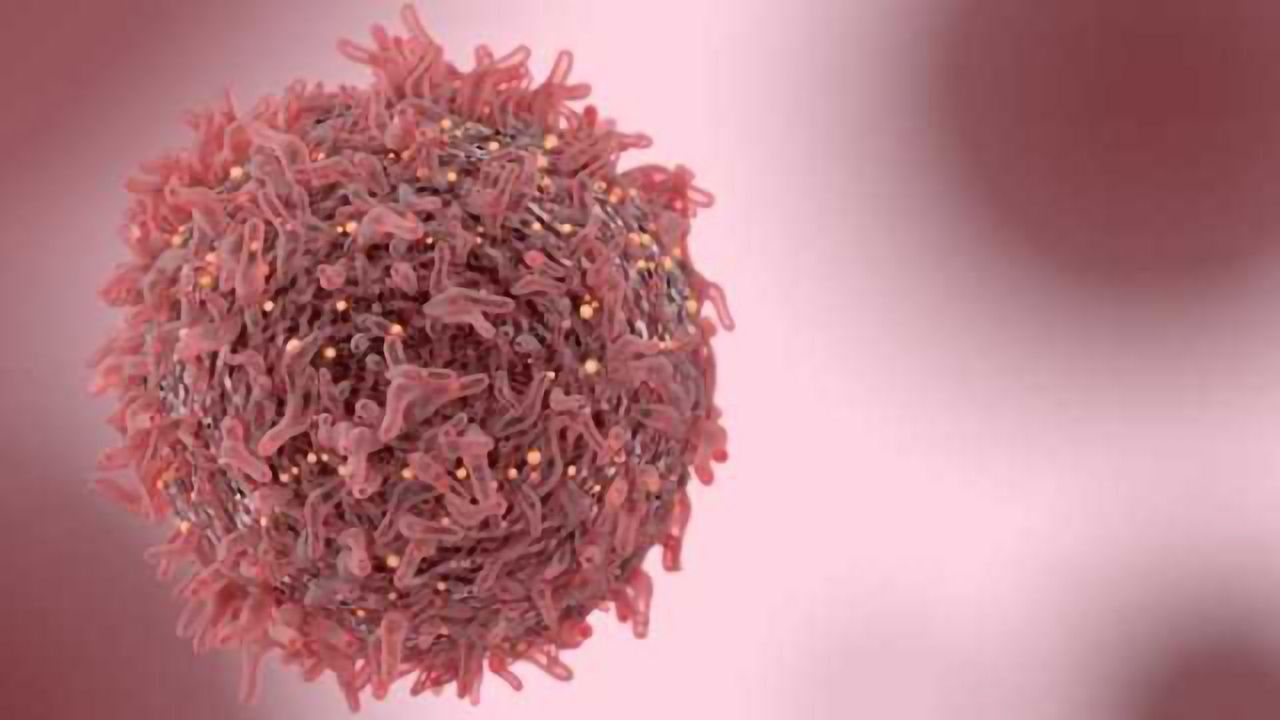 Inconspicuous Protein Key to Deadly Blood Cancer