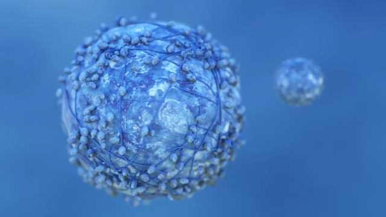 Immunotherapy Keeps Some Patients with Advanced Head & Neck Cancer Alive for > 3 Years