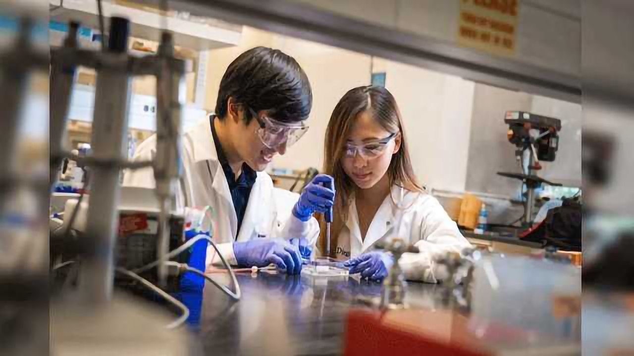 Life-like Tissues 3D Printed for Drug Screening and Ex Vivo Studies