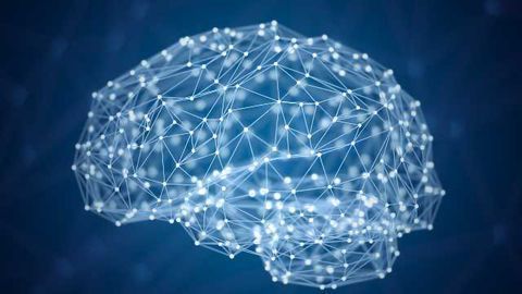 Understanding the Role of BDNF on GABAergic neurotransmission