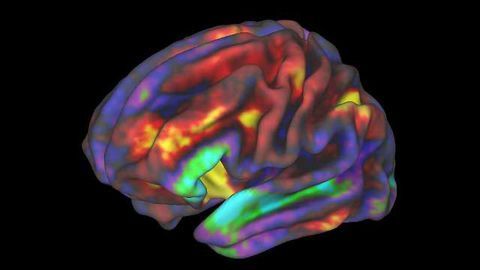 Adolescent Brain Cognitive Development Study Completes Enrollment of Nearly 12,000 9-10 Year Olds