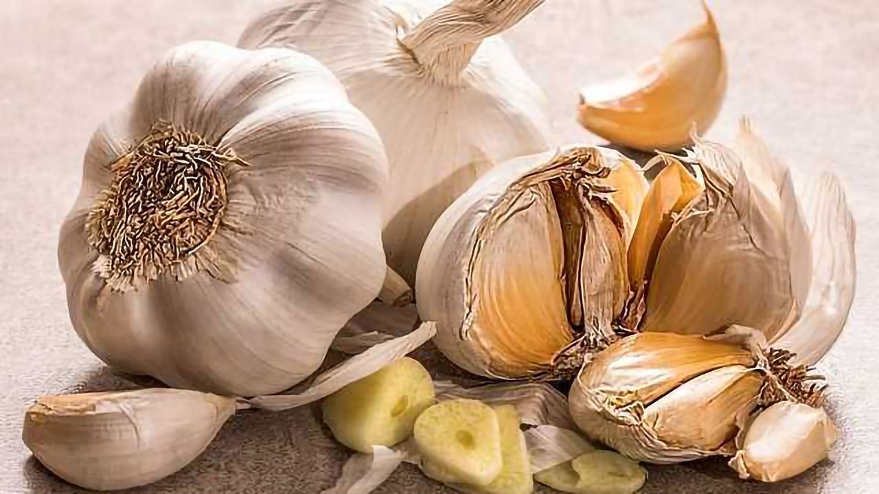 Garlic Repels More than Vampires