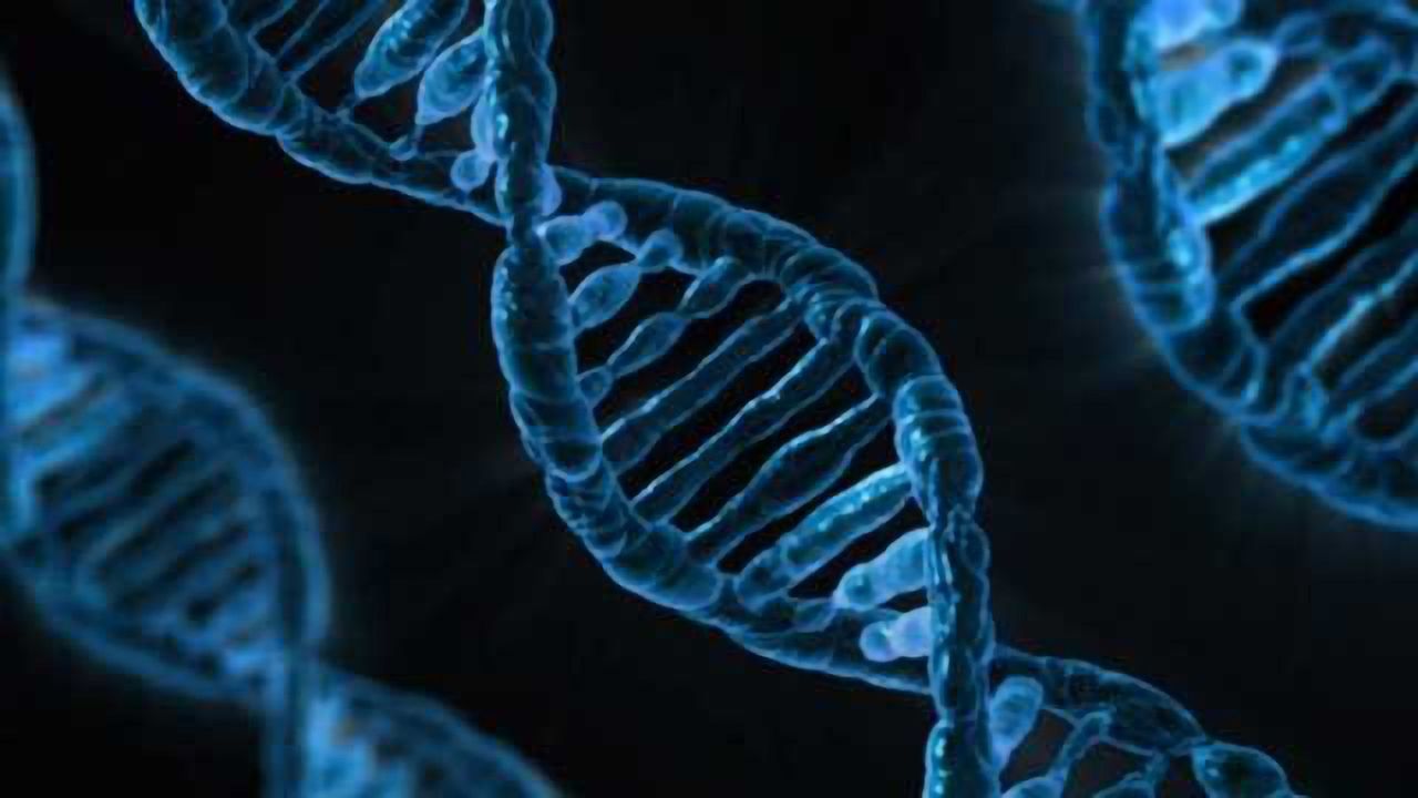 40 New Genetic Variants Linked to Colorectal Cancer Risk