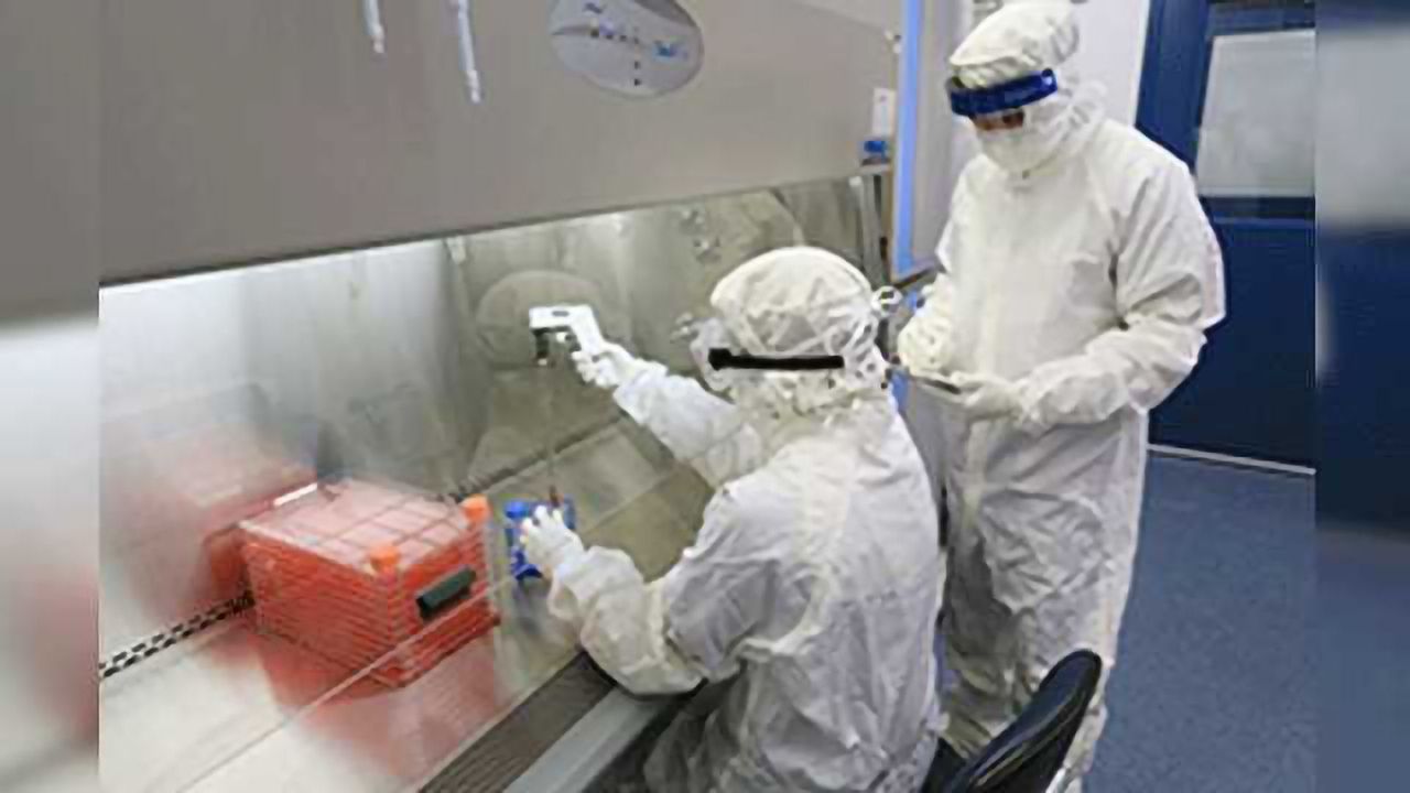 Gene Therapy is Reversing Sickle Cell Anemia Symptoms in Preclinical Trials