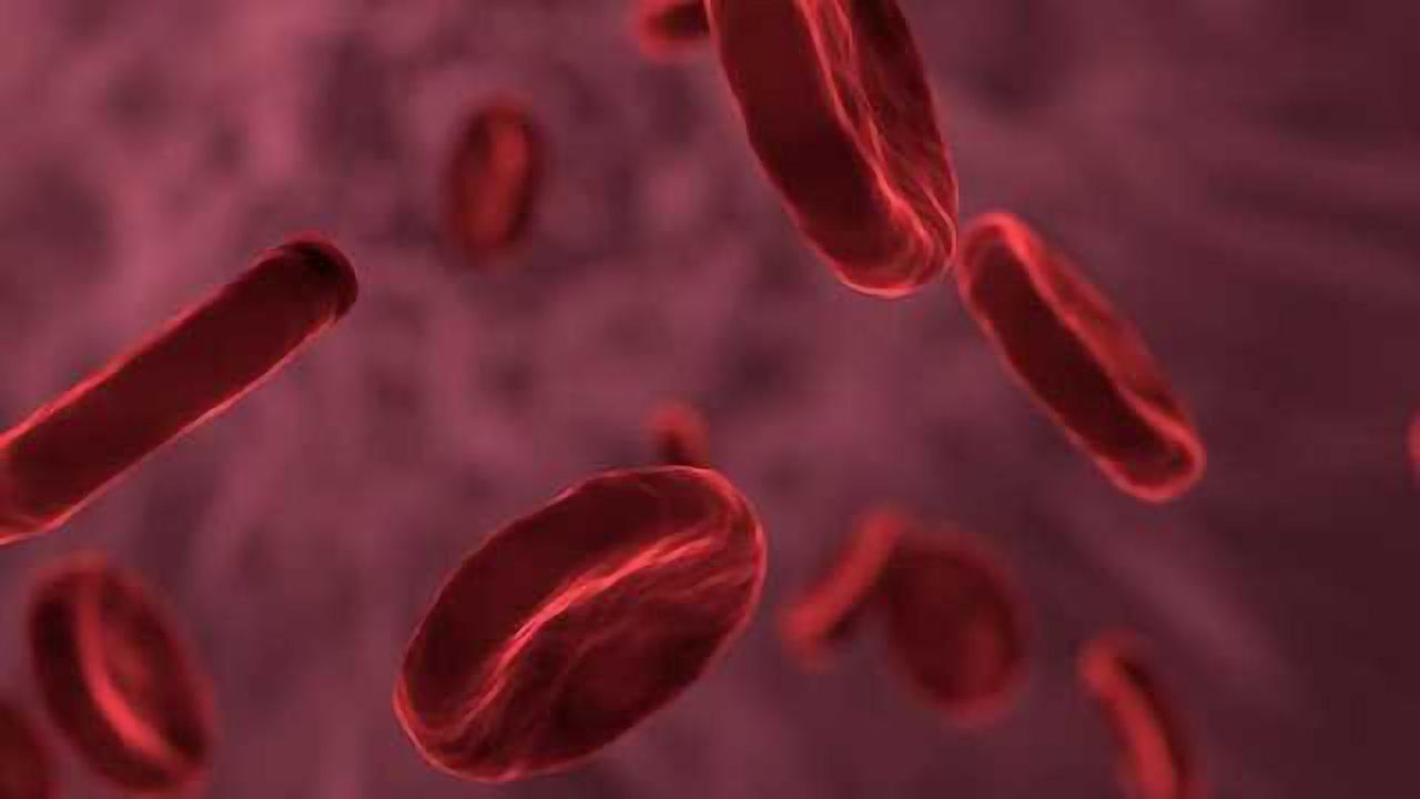Fighting Relapsed Blood Cancer with Genetically Engineered Immune Cells