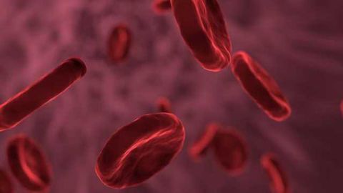 Fighting Relapsed Blood Cancer with Genetically Engineered Immune Cells