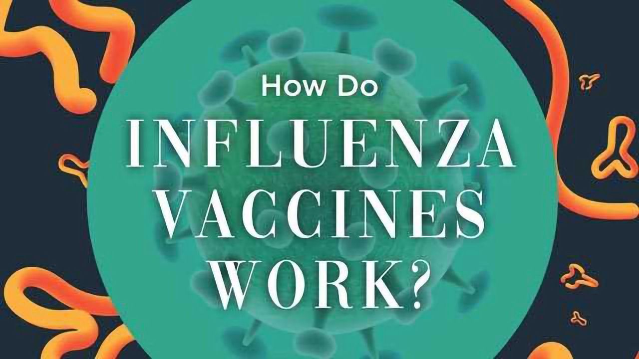 How Do Flu Vaccines Work?