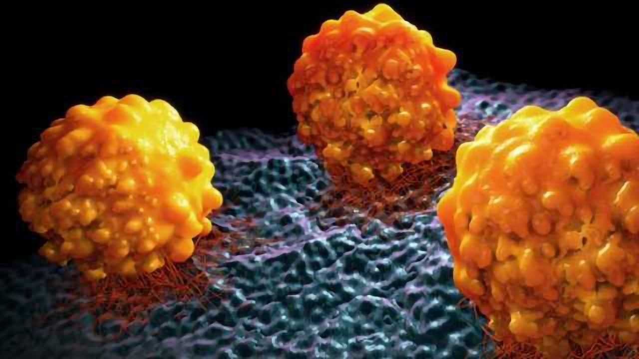 Bacterial Protein Promotes Cancer