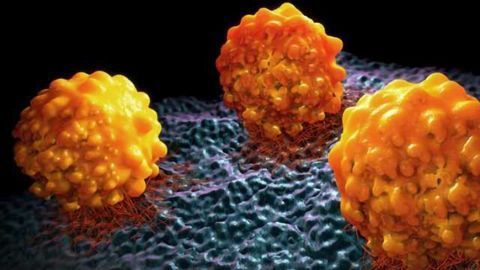 Bacterial Protein Promotes Cancer
