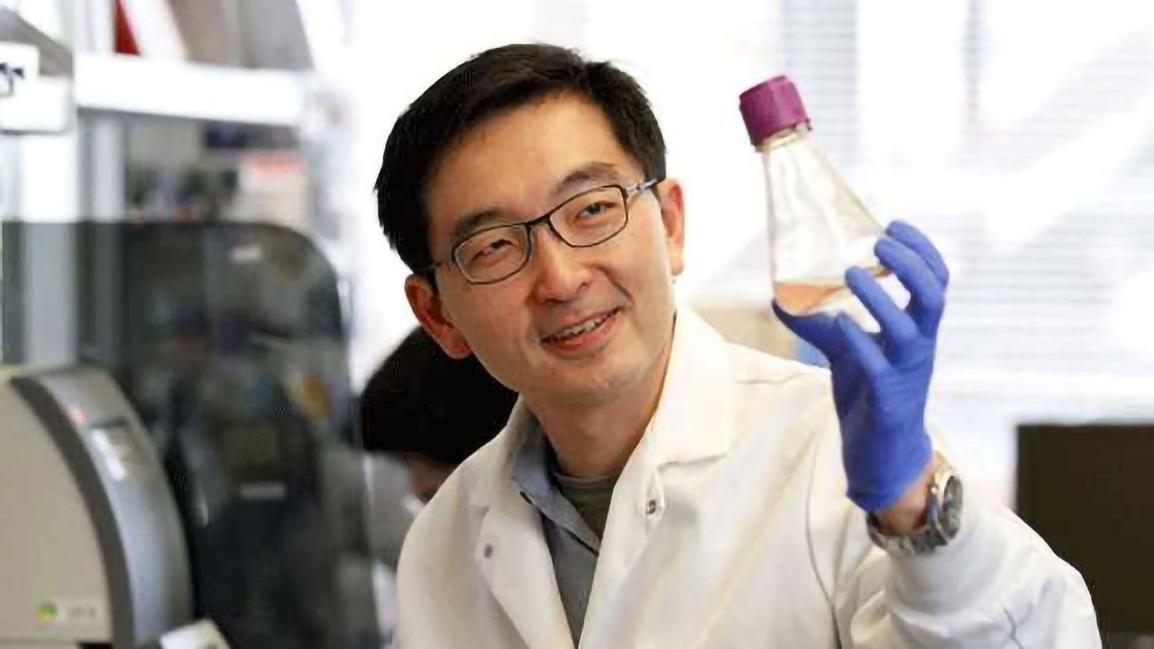 Honeybee Protein Keeps Stem Cells Youthful