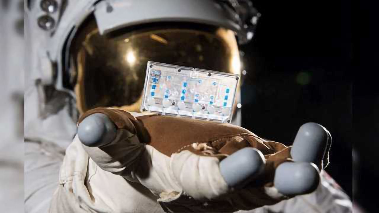 Immune System on a Chip Launched to Space