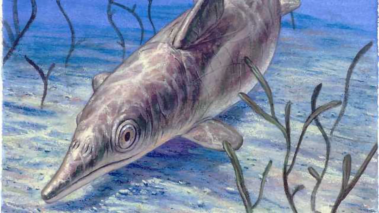 Unveiling Jurassic Life