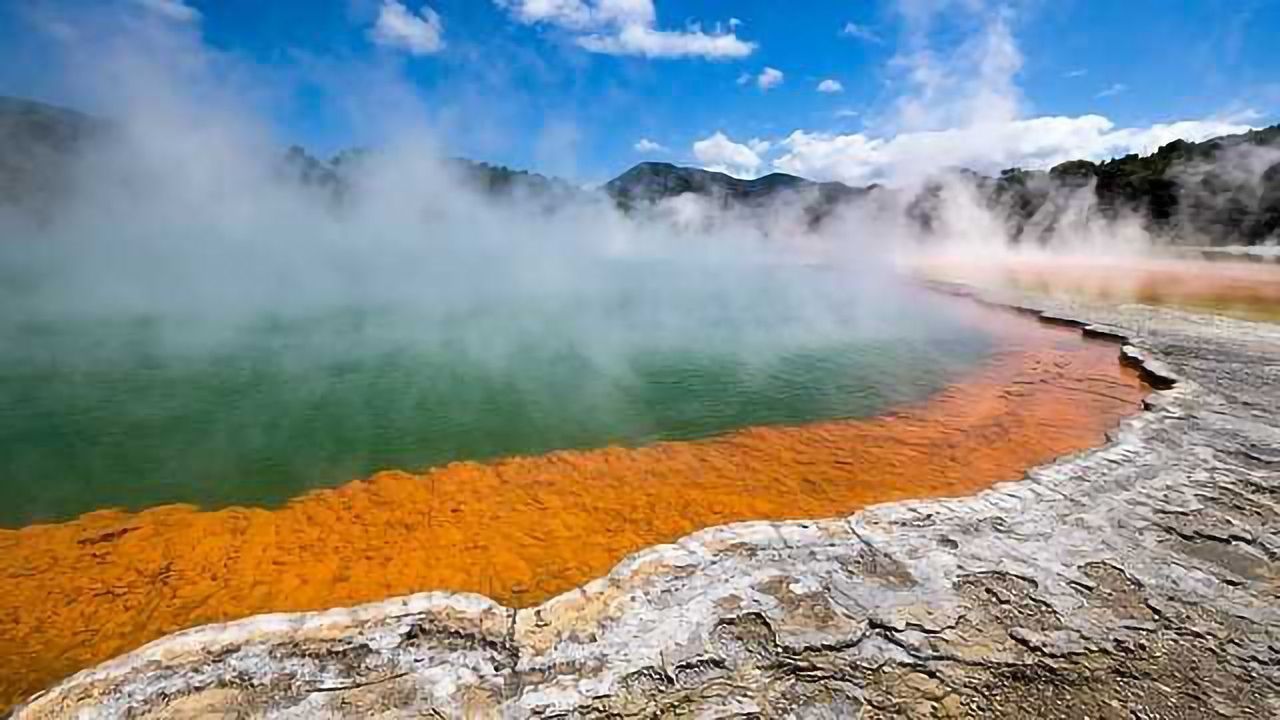 Secret to How Microbes Survive in Extreme Conditions