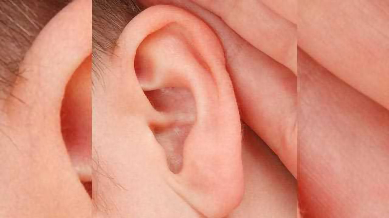 Epigenetic Map Paves the Way for Therapeutics to Combat Hearing Loss