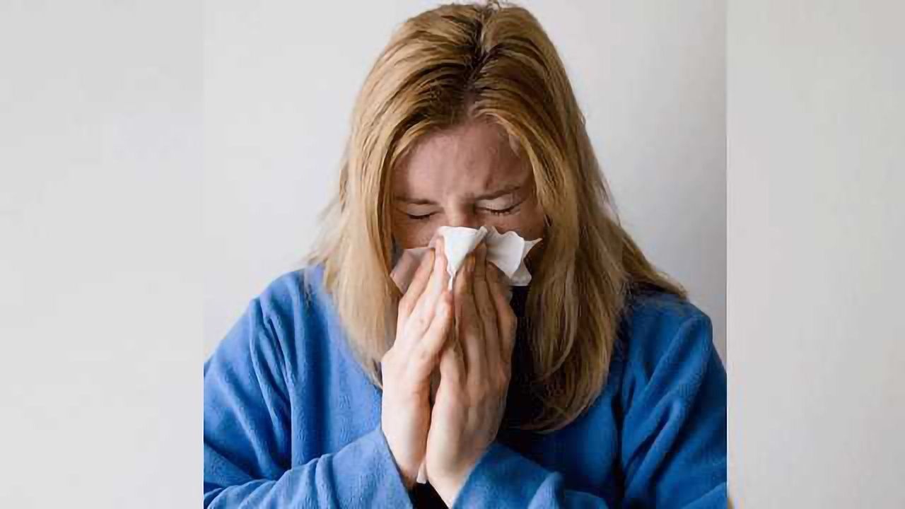 Real-time Flu Tracker Website Launched