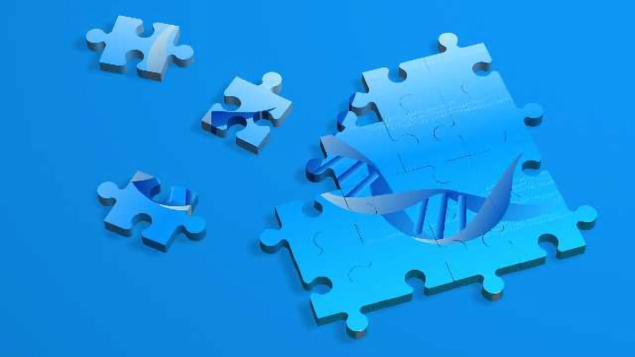 Assembling the Pieces of the Genomic Puzzle