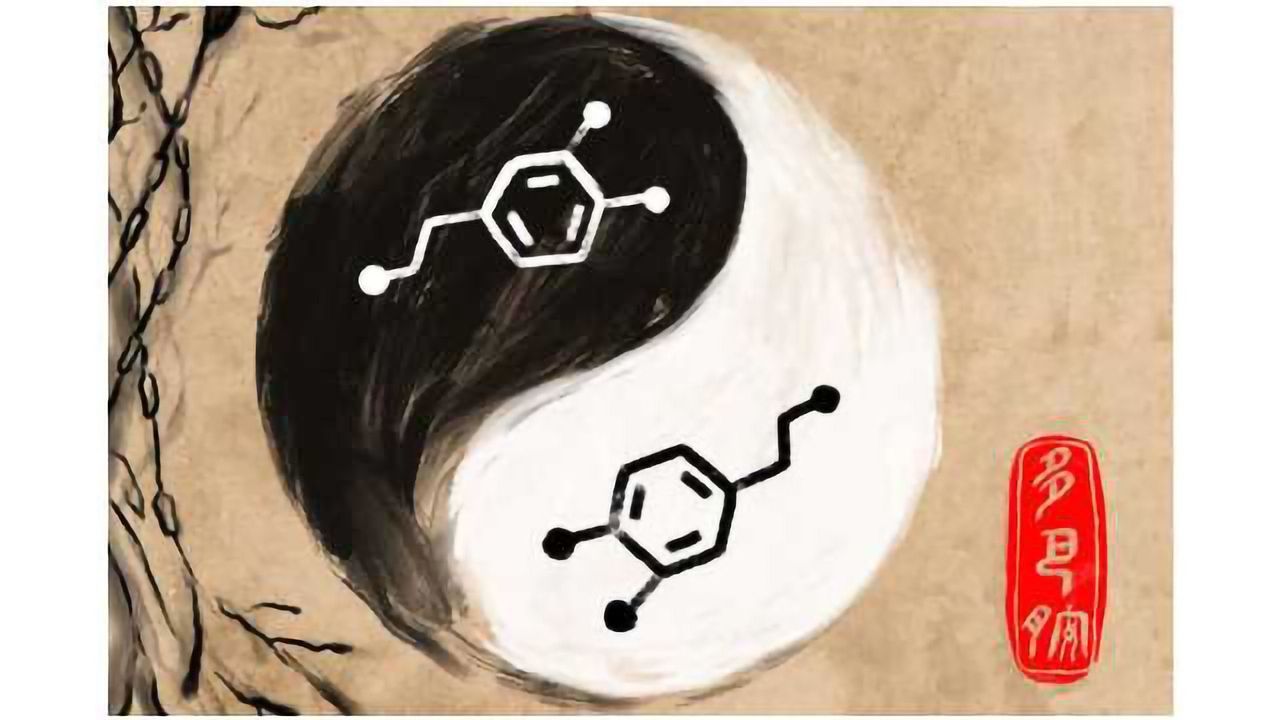 The Yin-Yang of Dopamine