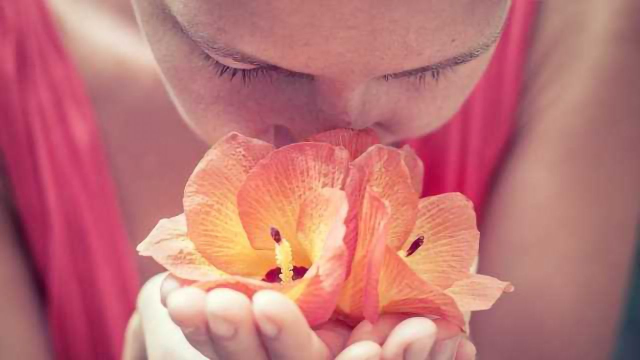 Smelling the Forest, Not the Trees