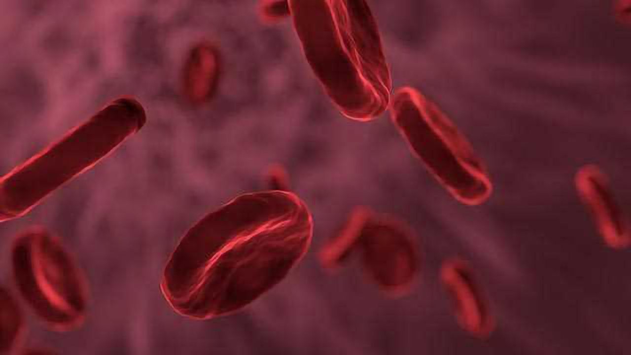 Statins Have Low Risk of Side Effects