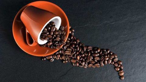 Coffee Compounds Could Team Up to Fight Parkinson’s?