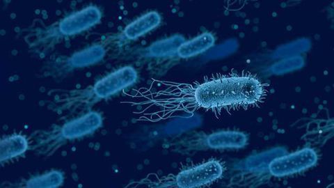 New Regulators of Macrophage Pyroptosis