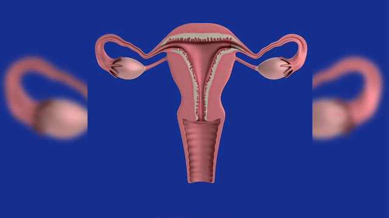 Microfluidic Test Detects Those Ovulating, Based on Saliva Patterns