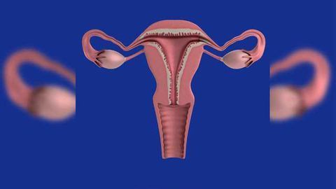 Microfluidic Test Detects Those Ovulating, Based on Saliva Patterns