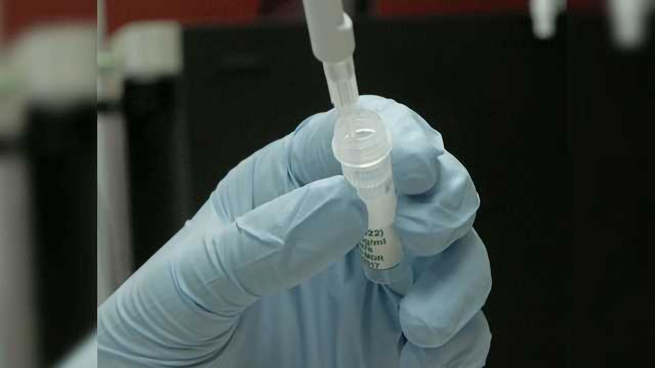 Shortcut to Recreating Key HIV Antibody for Vaccines