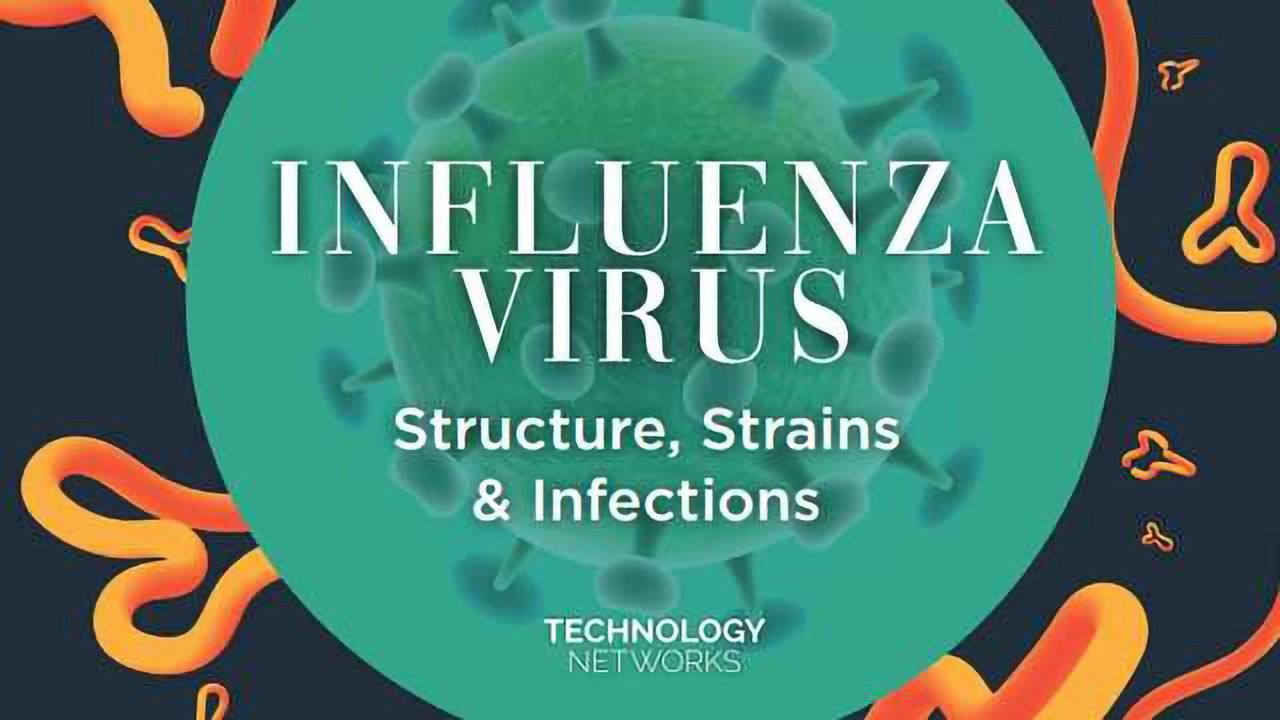 Influenza Virus: Structure, Strains & Infections