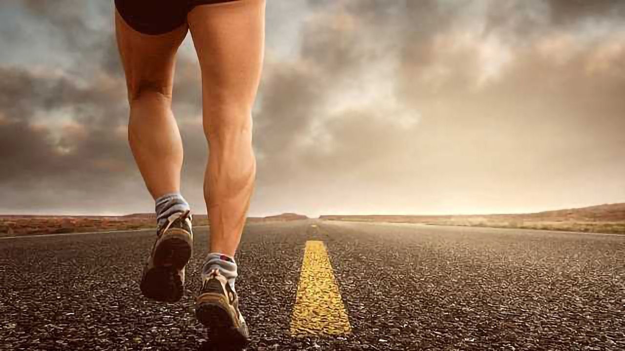 New Stem Cell Line for Generating Skeletal Muscle