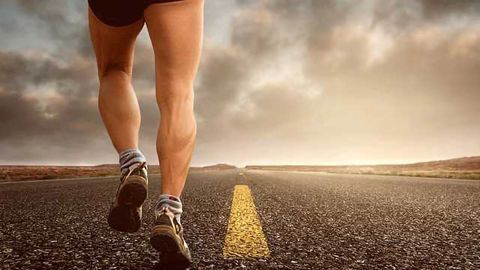 New Stem Cell Line for Generating Skeletal Muscle