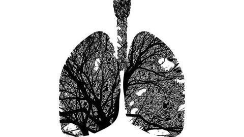 Blood Test May Enable Tailored Cystic Fibrosis Treatment