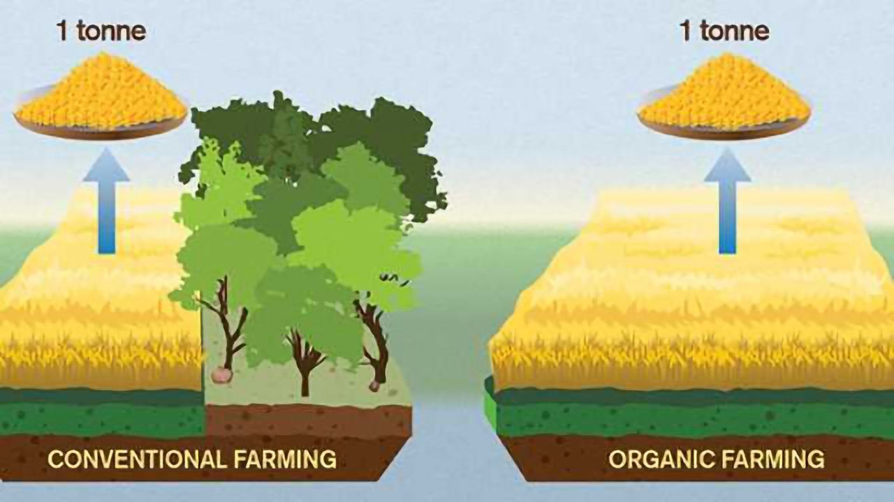 Organic Food Worse for the Climate