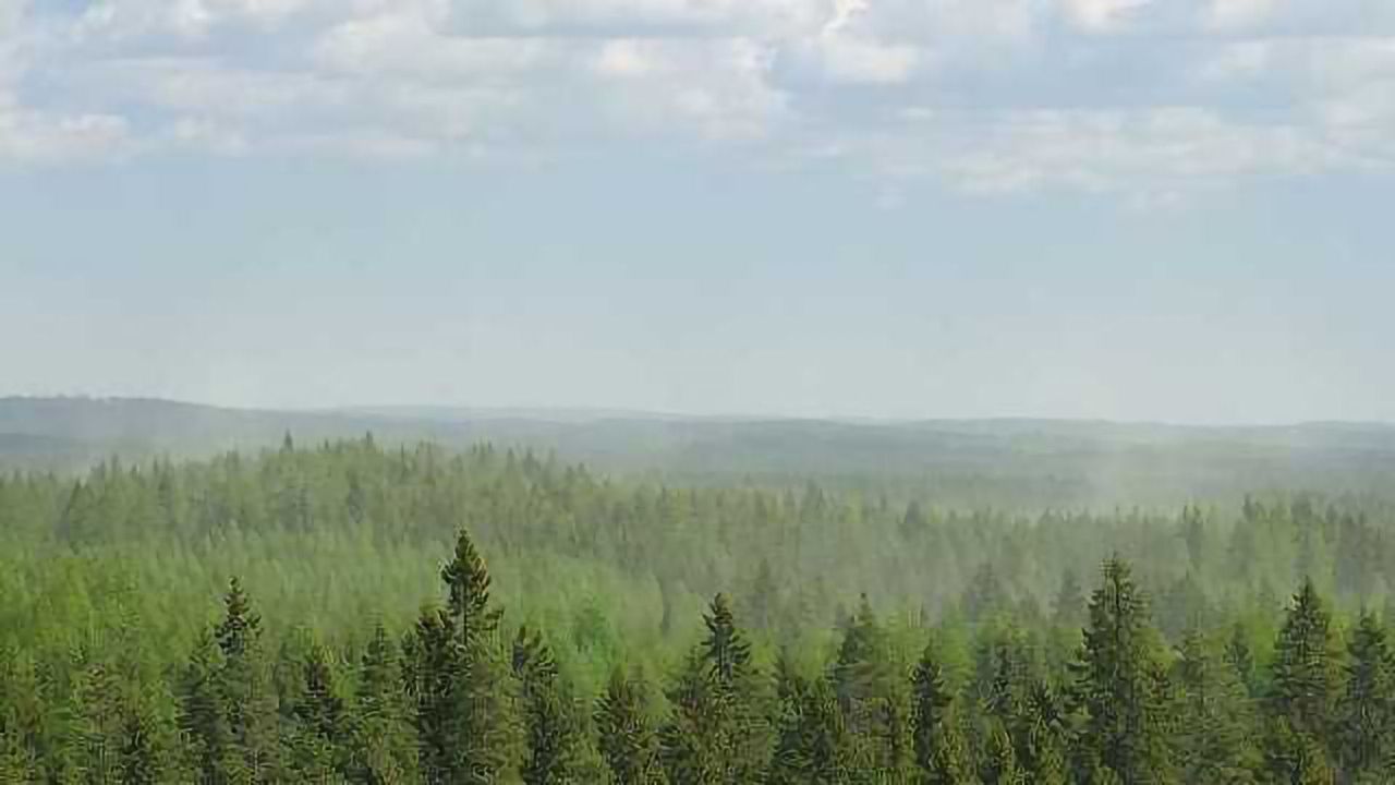 Air Pollution Interferes with Particle Formation