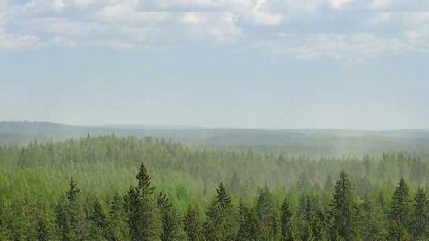 Air Pollution Interferes with Particle Formation