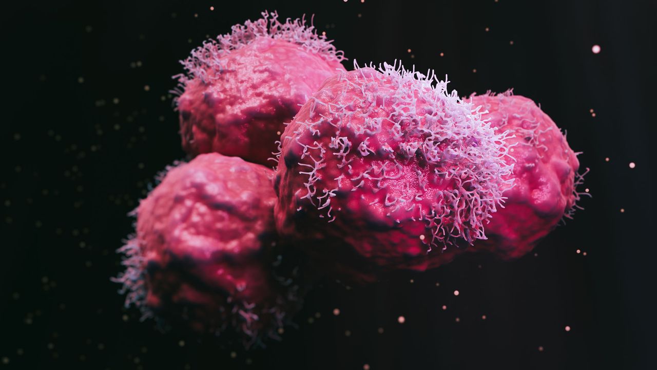 Cell Signaling in Cancer
