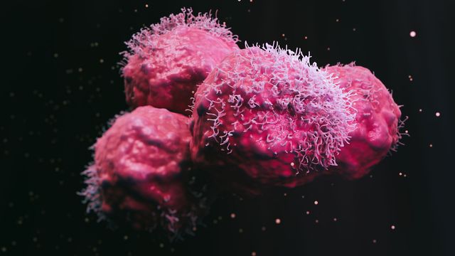 A group of pink cancer cells against a dark background. 