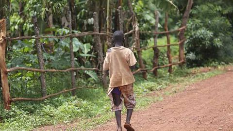 Drug Candidate Against a Forgotten Tropical Disease