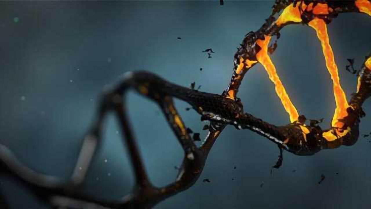 A Way to Visualize a Genetic Mutation