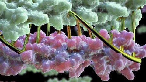 Design Leap Enables Creation of Protein Nanomachines