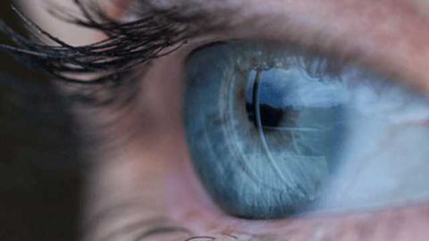Eye-opening Differentiation of iPS Cells into Ocular Lineages