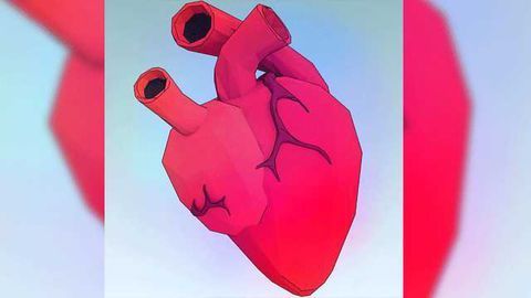 Deciphering Irregular Heartbeat Treatment Candidates